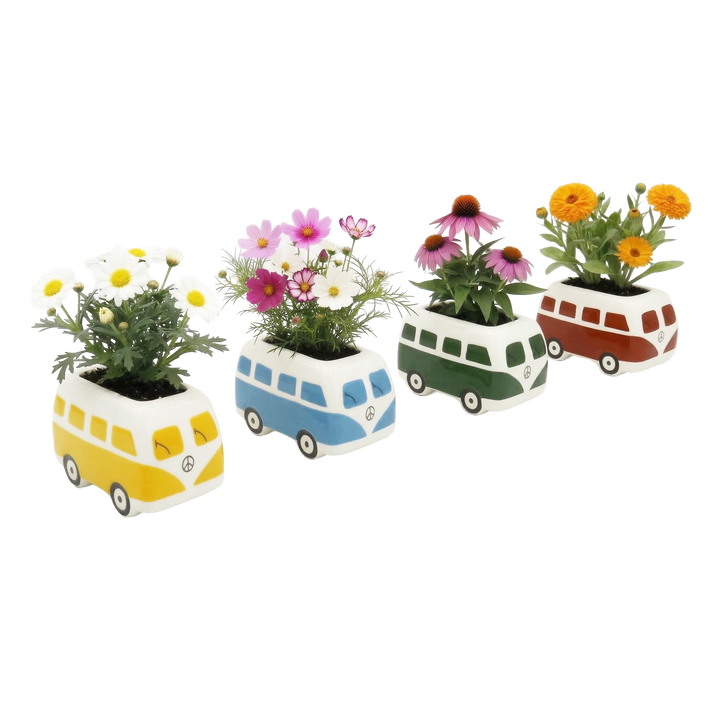 Ceramic Hippie Bus Flower Grow Kit Set – Buzzy Seeds