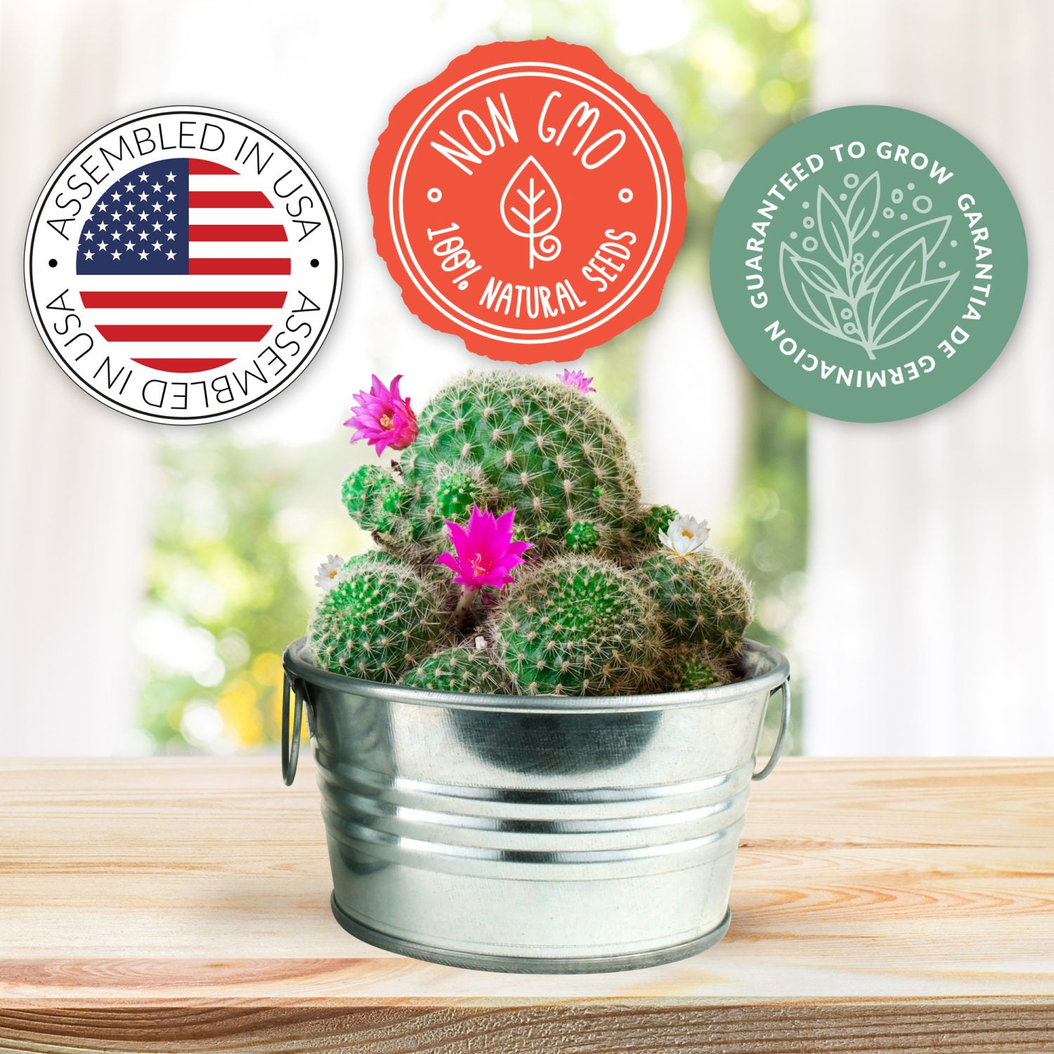 7022390 GROW KIT PRICKLY CACTUS Modern Sprout Prickly Pear Cactus