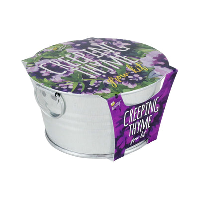 Creeping Thyme Mini Basin Grow Kit