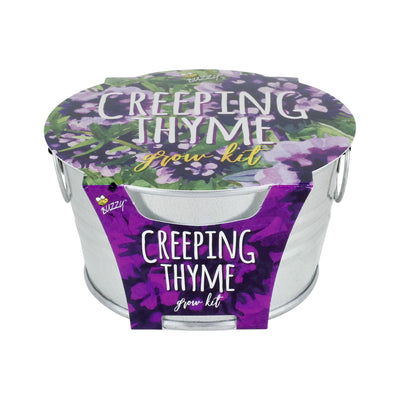 Creeping Thyme Mini Basin Grow Kit - Painted Garden Collection