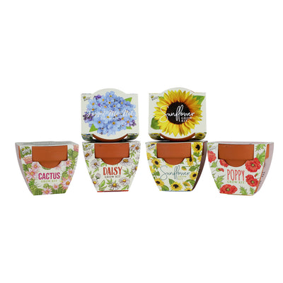 Daydream Mini Terracotta Grow Kit | Assorted 6-pack