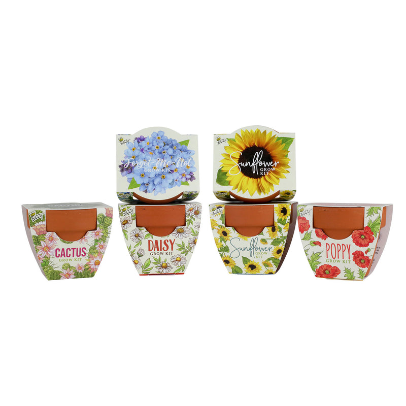 Daydream Mini Terracotta Grow Kit | Assorted 6-pack