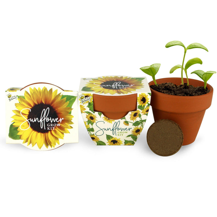 Daydream Mini Terracotta Grow Kit | Assorted 6-pack