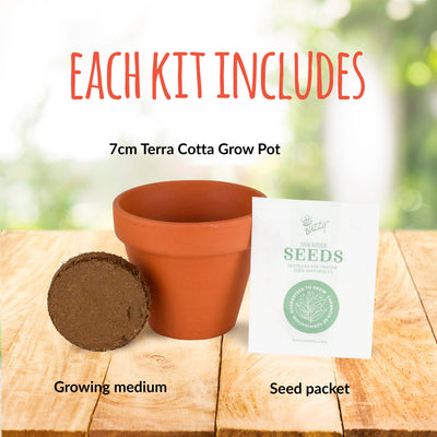 Assorted Classic Terracotta Grow Kit 4pk