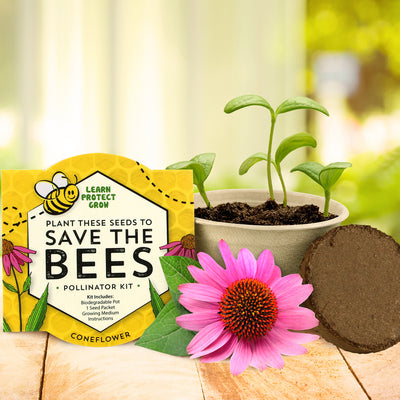 Save the Bees Wildflower Biodegradable Grow Kit | Assorted 12-pack