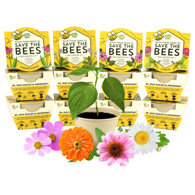 Assorted Save the Bees Wildflower Biodegradable Grow Kit 12pk