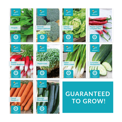 Organic Vegetable Seed Assortment