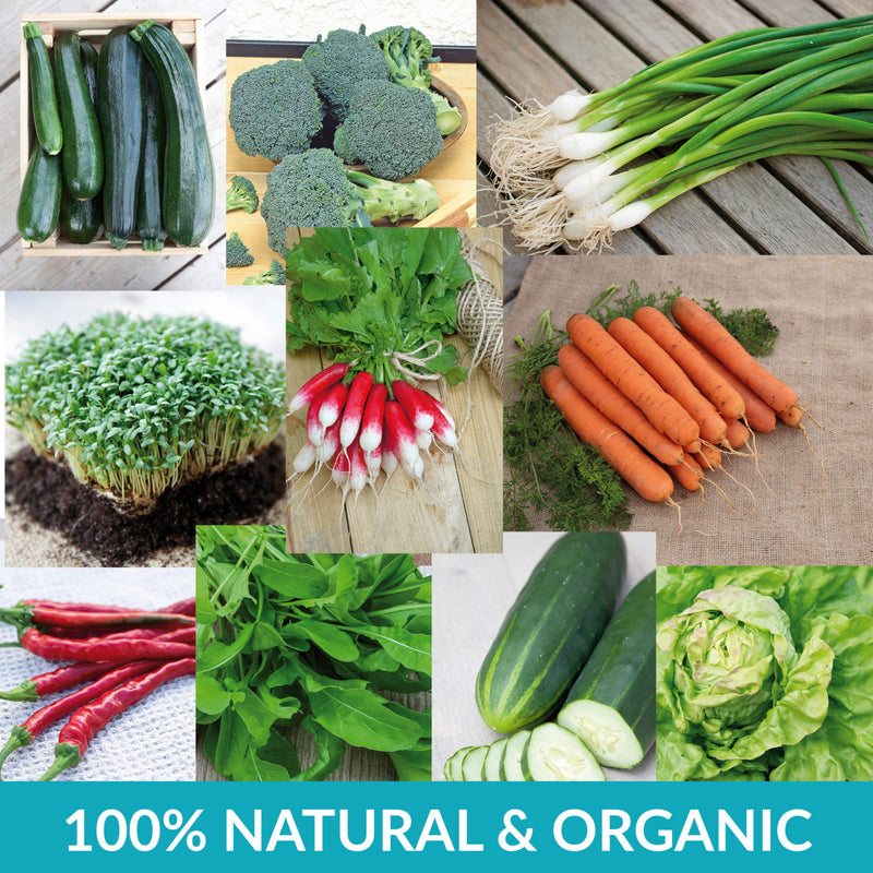 Organic Vegetable Seed Assortment
