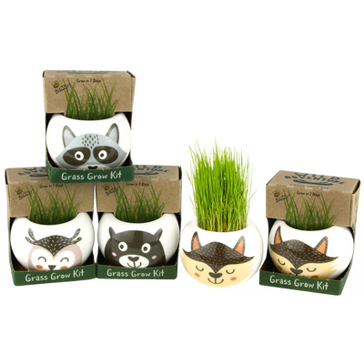 Wild Adventures Grass Grow Kit-set of 4