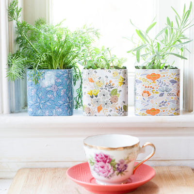 Herbal Tea Garden Grow Kit
