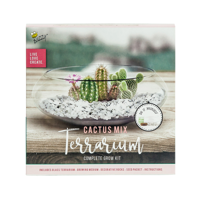 Cactus Glass Terrarium Grow Kit