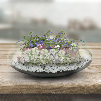 Fragrant Flower Glass Terrarium Grow Kit