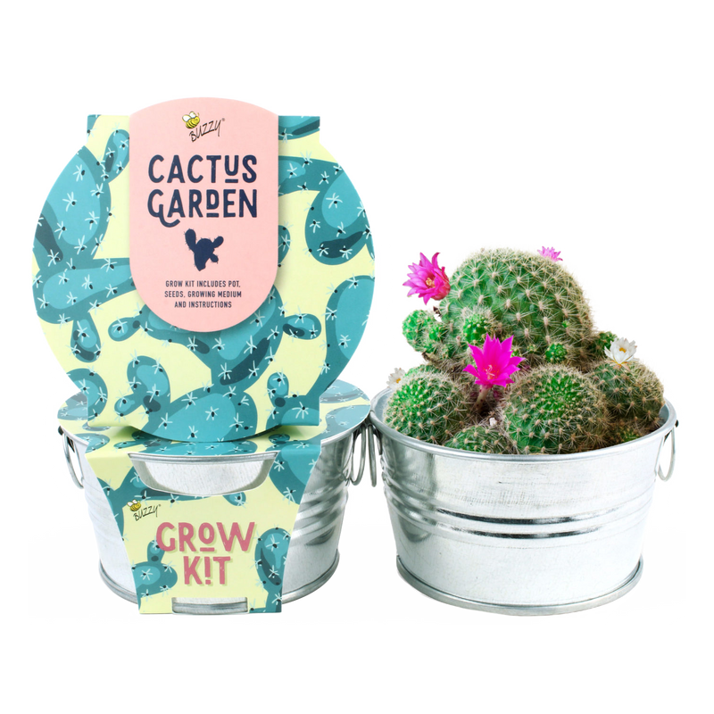 Cactus Mini Basin Grow Kit