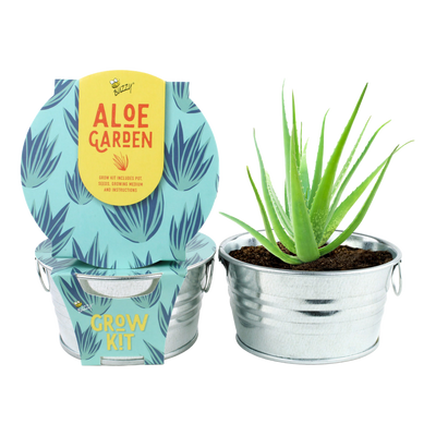 Aloe Mini Basin Grow Kit - Succulent Garden Collection