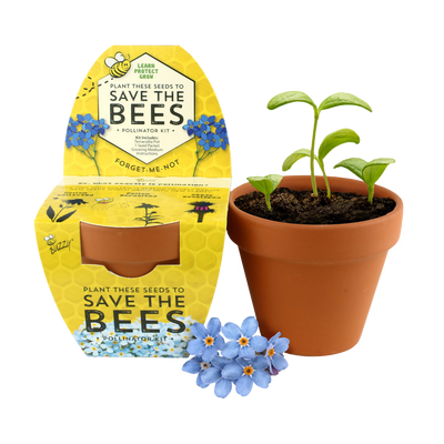 Save the Bees Terracotta Grow Kit | Forget-Me-Not