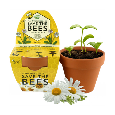Save the Bees Terracotta Grow Kit | Daisy